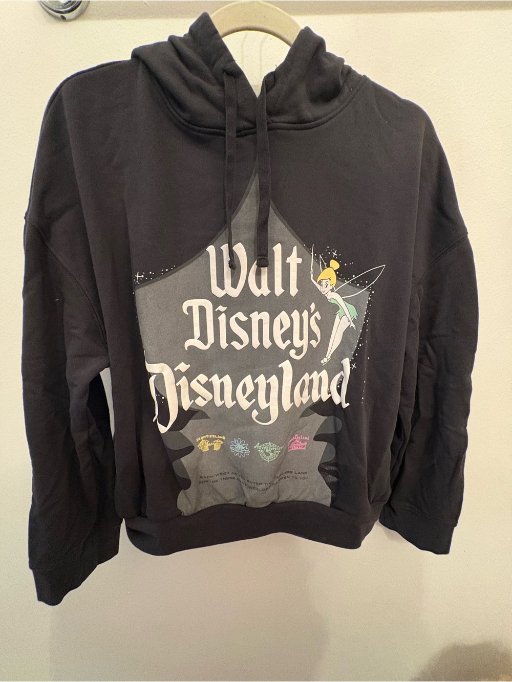 Disneyland 100 Tinker Bell Hoodie